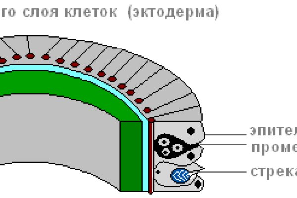 Кракен шоп интернет