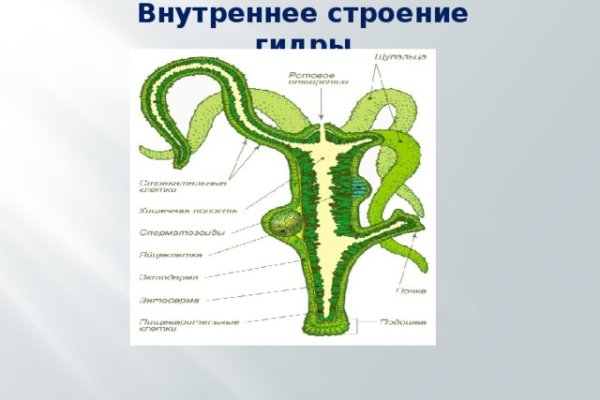Кракен зеркало рабочее на сегодня