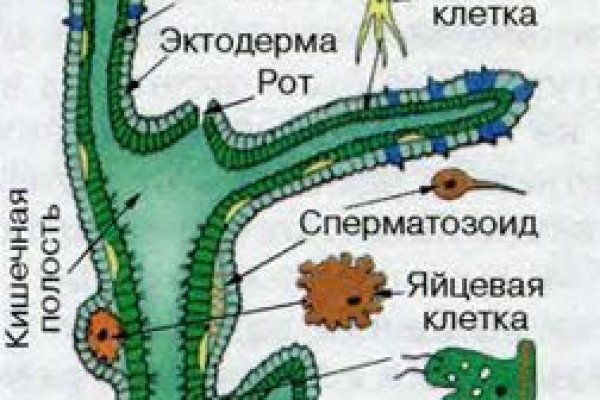 Kra28.cc